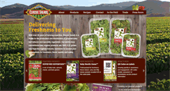 Desktop Screenshot of classicsalads.com